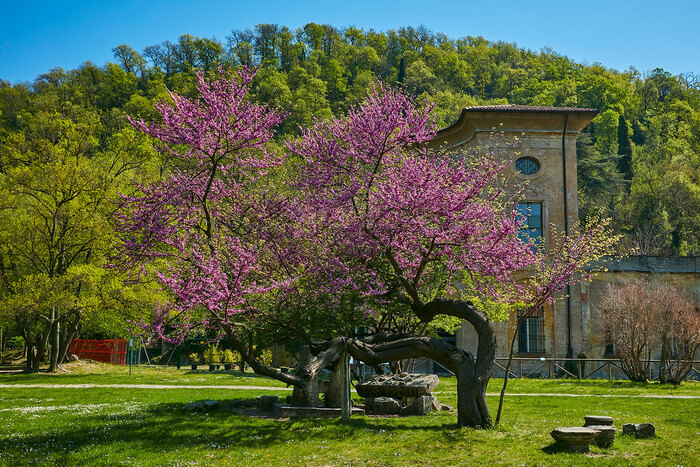 Visite guidée du parc de la Chiusa Parco della Chiusa Casalecchio di Reno