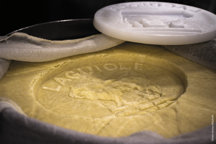 Visite guidée sur la fabrication du fromage, Coopérative Fromagère Jeune Montagne, Laguiole