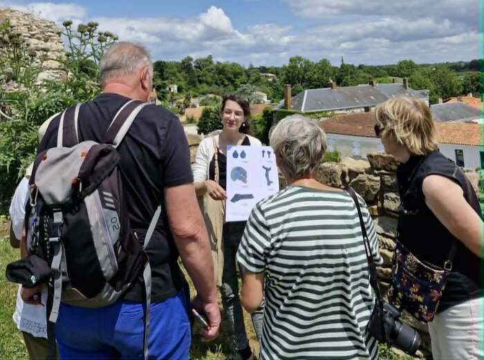 Visite guidée sur les fouilles du château de Talmont Château de Talmont Talmont-Saint-Hilaire
