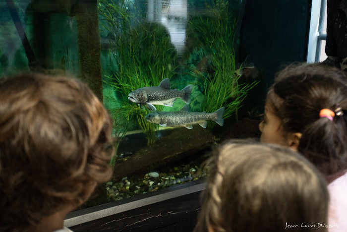 Visite libre de l&rsquo;écomusée de la pêche et du lac, Écomusée de la pêche et du lac, Thonon-les-Bains