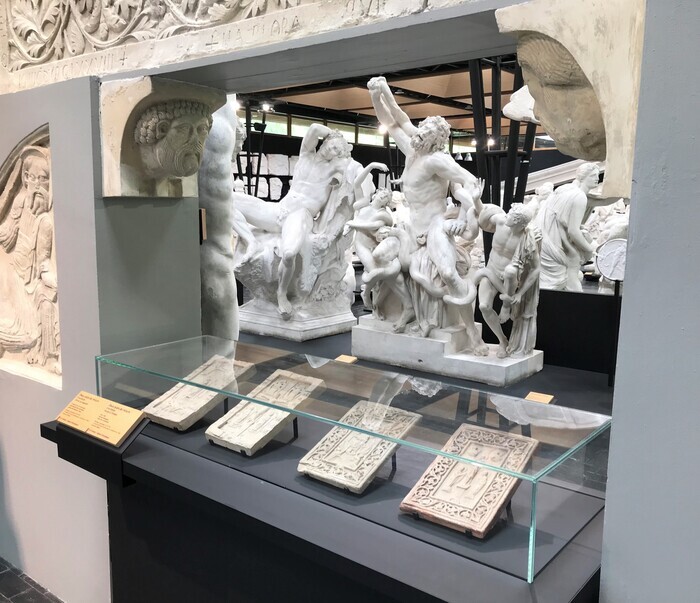 Visite libre des collections Musée des Moulages Montpellier