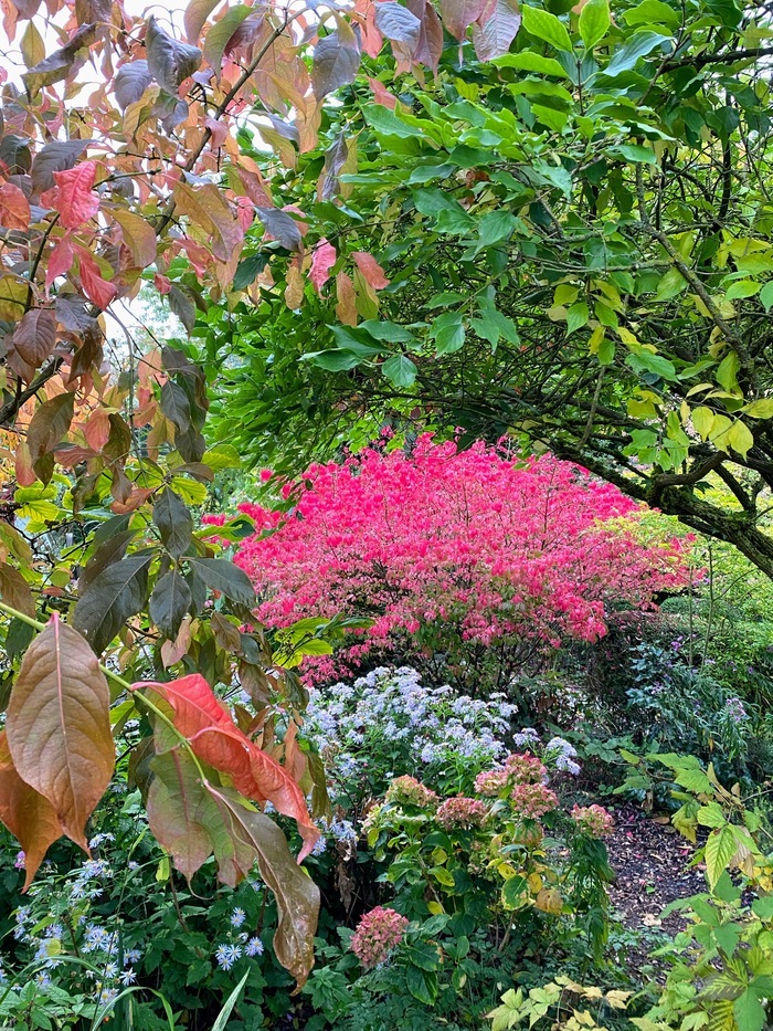Visite libre du jardin Le Coudray Longny les Villages