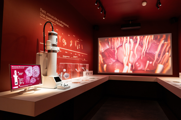 Visite libre du musée, Musée de sciences biologiques Docteur Mérieux, Marcy-l’Étoile