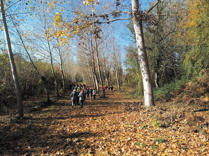 Visite libre du sentier nature, Jardin du Grand Presbytère, Martres-Tolosane