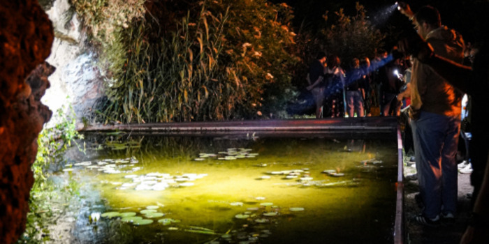 Visite naturaliste du Jardin botanique à la lampe torche, Jardin Botanique de Bordeaux, Bordeaux