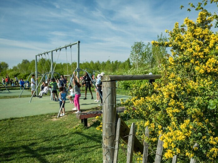 Visite Terre des Lilas, Parc des Lilas, Vitry-sur-Seine