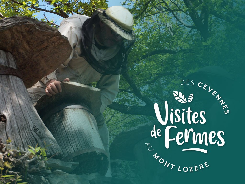 VISITES DE FERMES 2026 L’ARBRE AUX ABEILLES Pont de Montvert Sud Mont Lozère