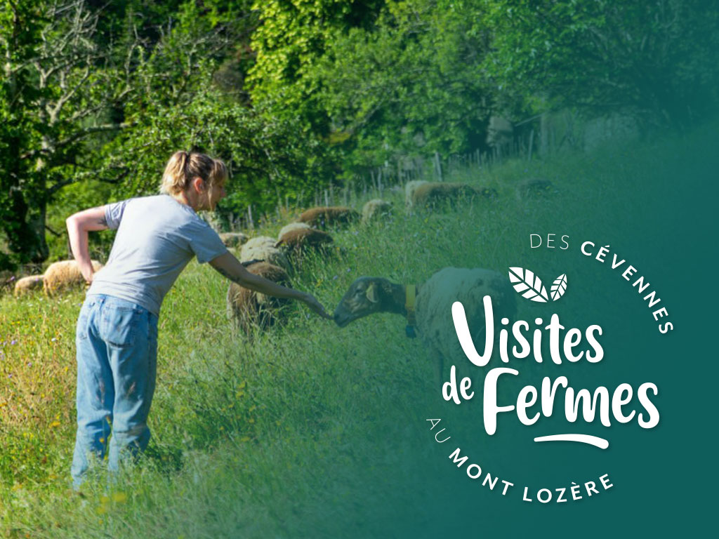 VISITES DE FERMES 2026: LES SAVEURS DU CASTANET Le Collet-de-Dèze