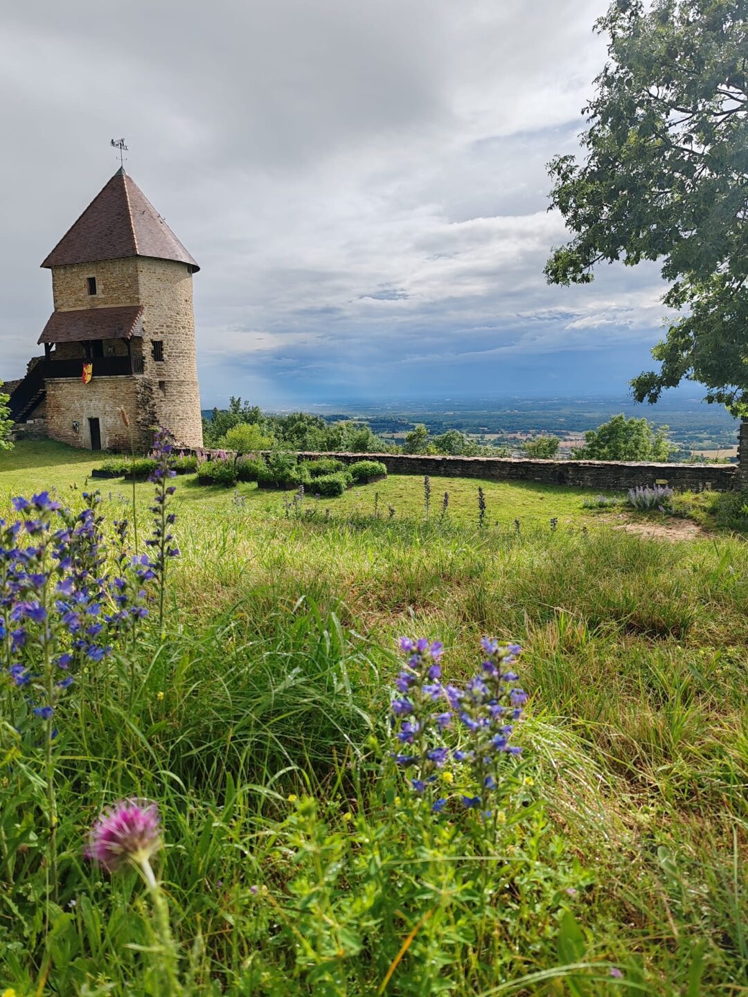 Visites guidées portes ouvertes au Château de Chevreaux Château de Chevreaux Chevreaux 2026-06-26