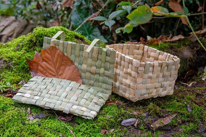 Vivre sa Nature - Vannerie en feuilles de massette Parc de la Championnière