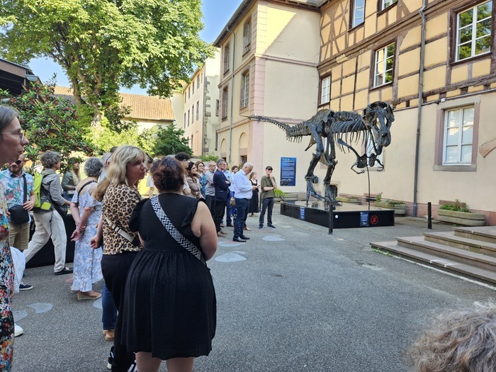 Voyage au cœur des mondes naturels et culturels, Muséum d’histoire naturelle et d’ethnographie, Colmar