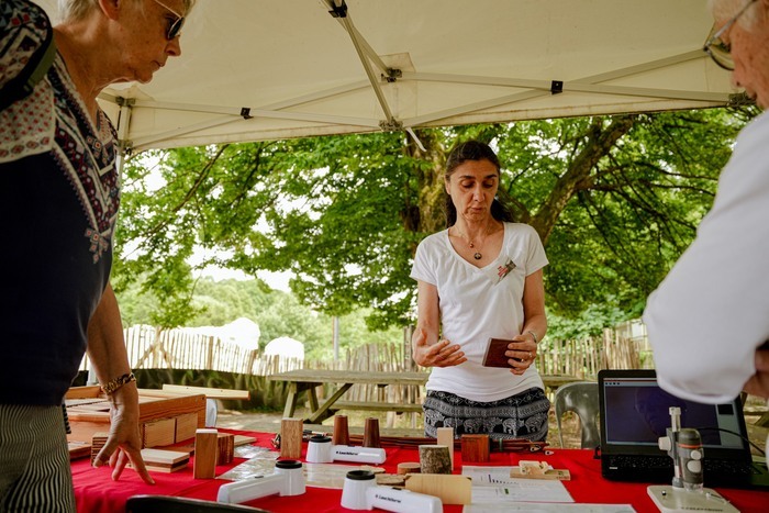 Xylologie où l’étude des bois en archéologie Arènes gallo-romaines Saintes