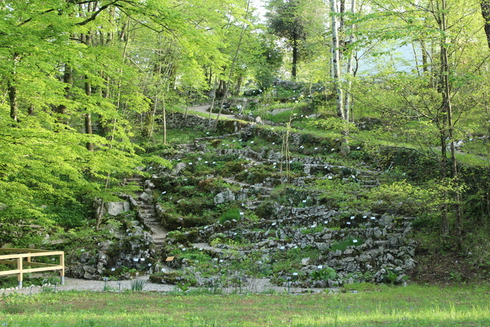 « Yeux d’explorateur » – Chasse au trésor, Giardino Botanico Carsiana, Gabrovizza