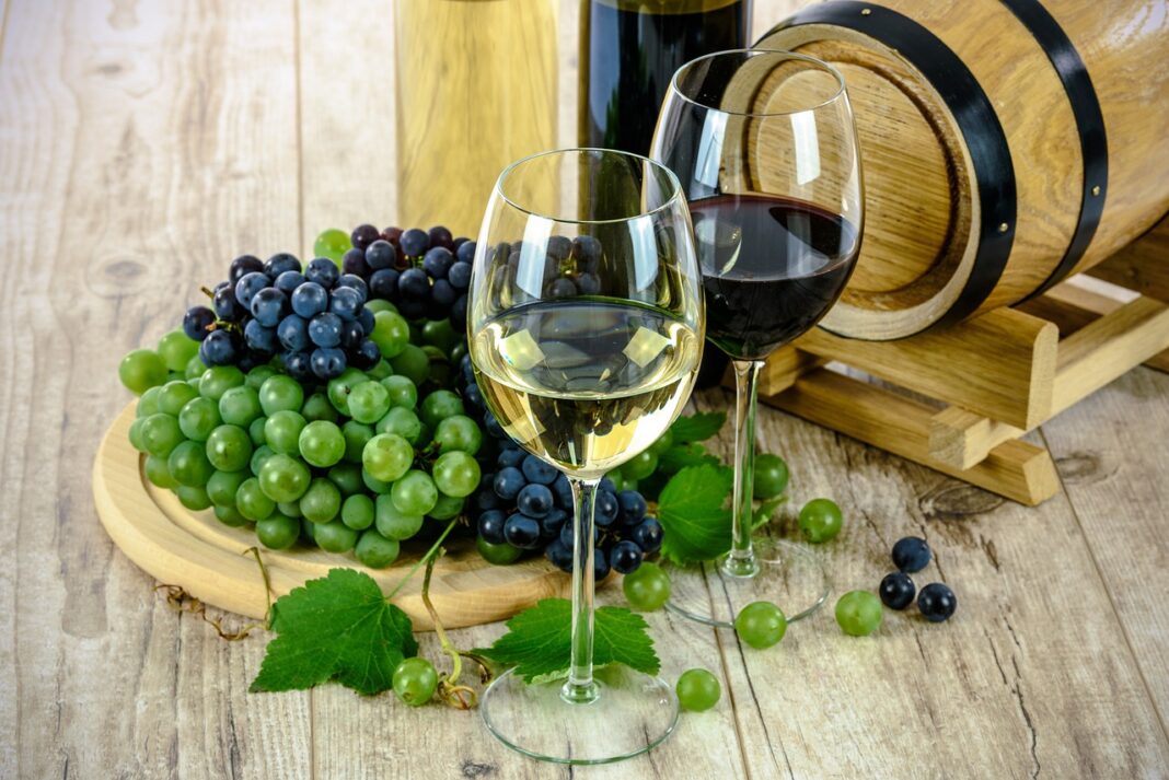 18e salon des vins et des saveurs  Saint-Martin-Terressus