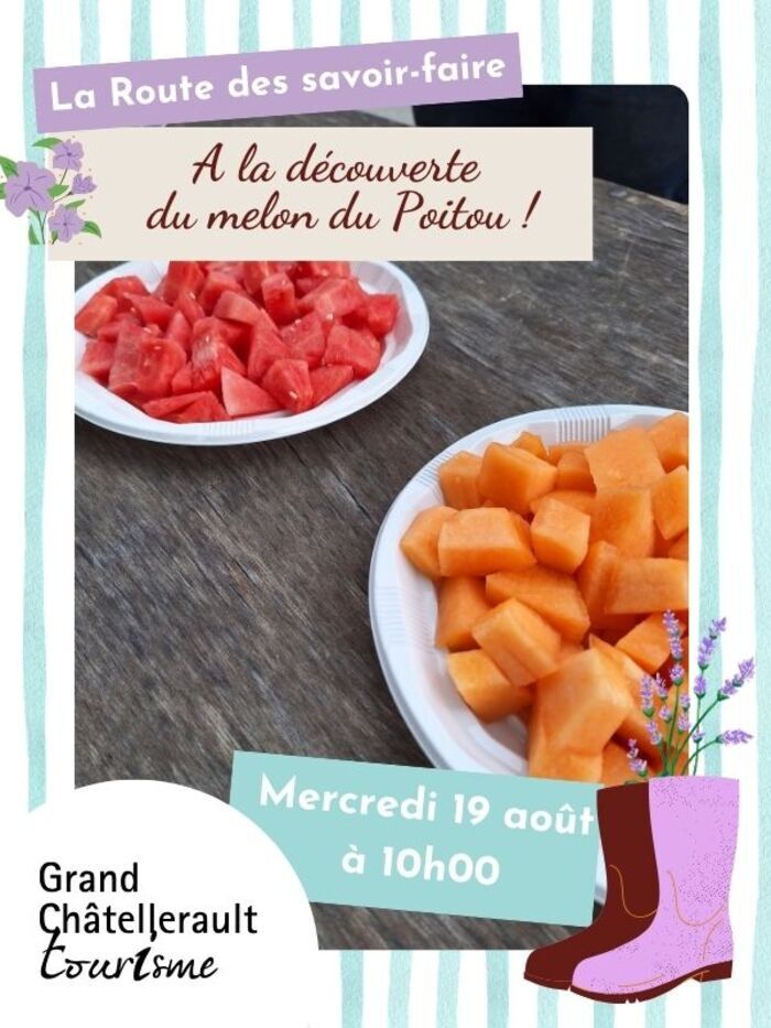 À la découverte du melon du Poitou La Fourcherie Thuré