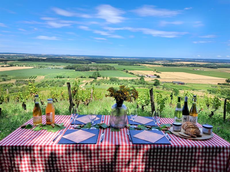 À Table dans les Vignes Maison du tourisme Terres Touloises Toul