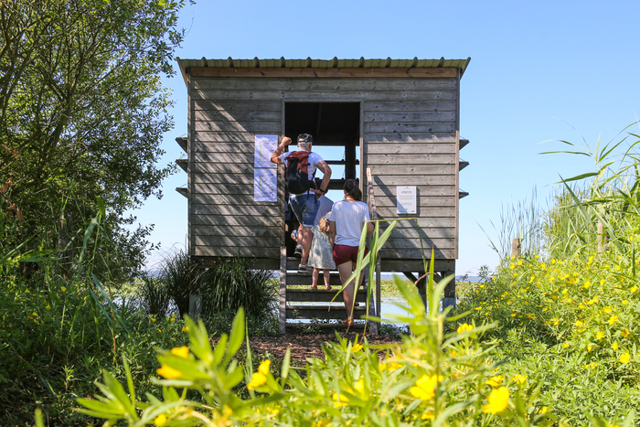 Accueil découverte à l’observatoire des oiseaux Site de Pierre Aiguë