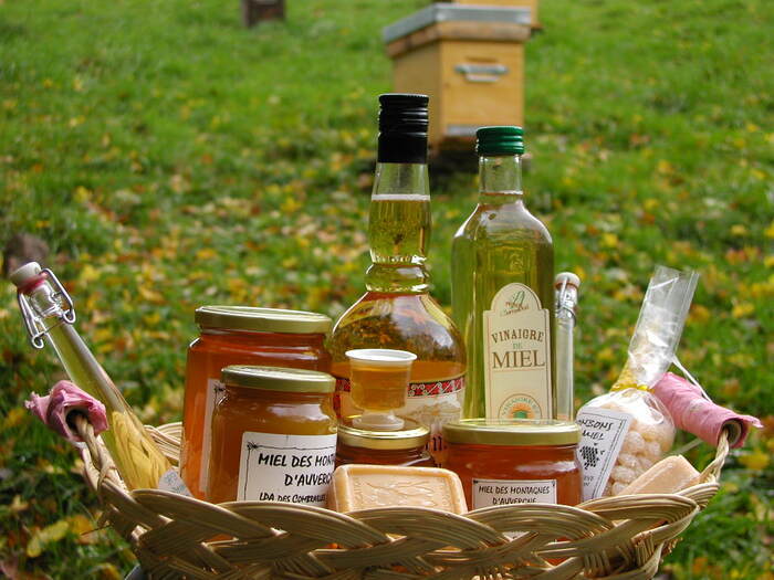 Accueil pédagogique en miellerie collective avec l’abeille noire du pays, Maison de l’abeille du pays, Pontaumur