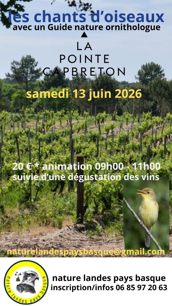 Animation chants d’oiseaux et dégustation vins Lieu dit la Pointe Capbreton