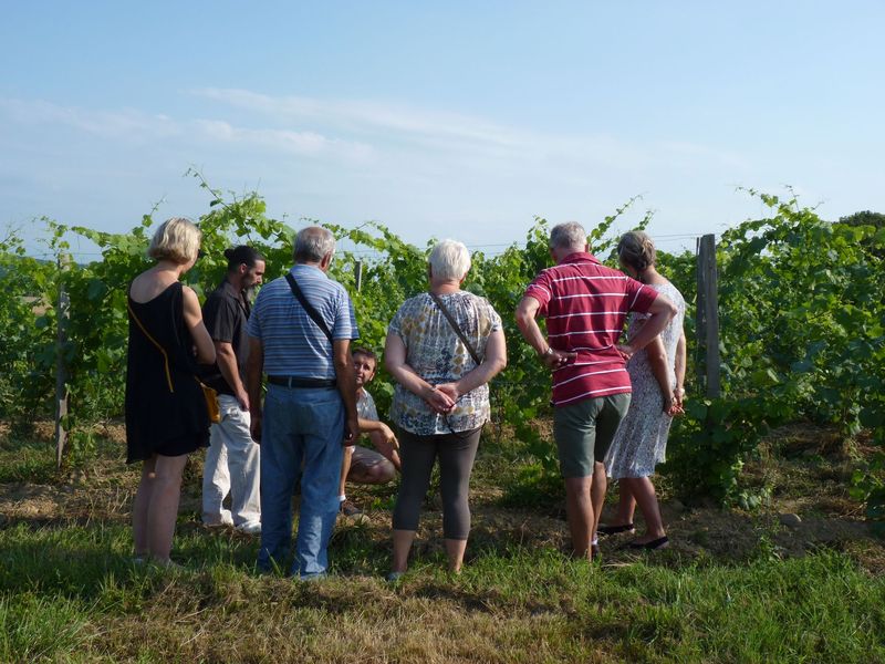 Apéro vigneron bio, au domaine Clos Basté Clos Basté Moncaup