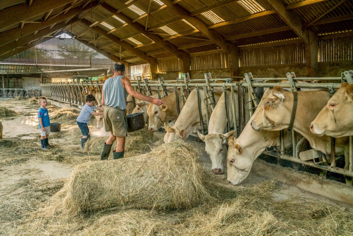 Apprenti à la ferme moments magiques à la ferme  Sauveterre-de-Béarn