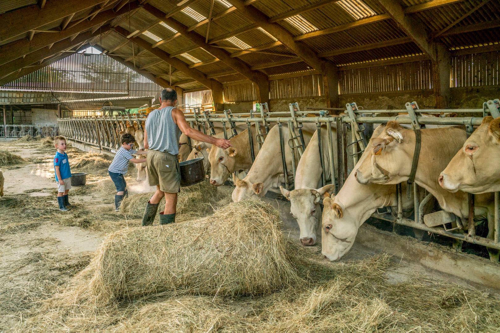 Apprenti à la ferme moments magiques à la ferme Comice de la blonde Sauveterre-de-Béarn 2026-08-20