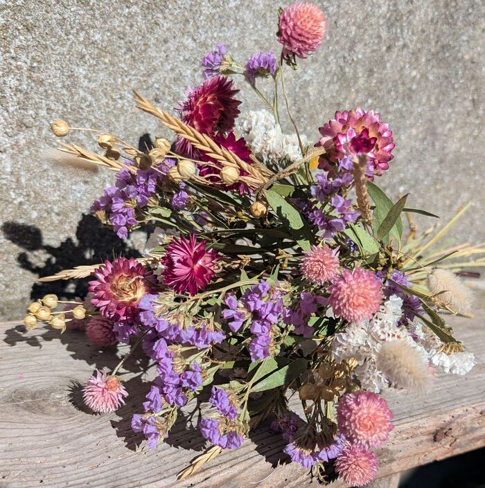Atelier bouquet champêtre de fleurs séchées, Jardin Pédagogique de Santé de La Belle Étoile, Saintes