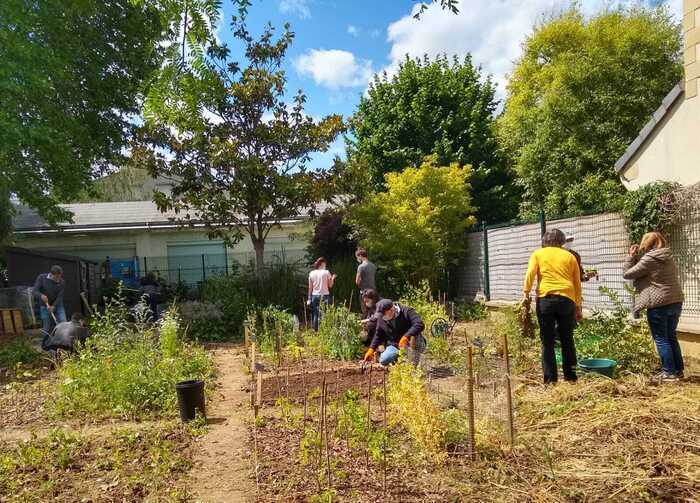 Atelier bouturage Jardin partagé Hoffmann Bourg-la-Reine
