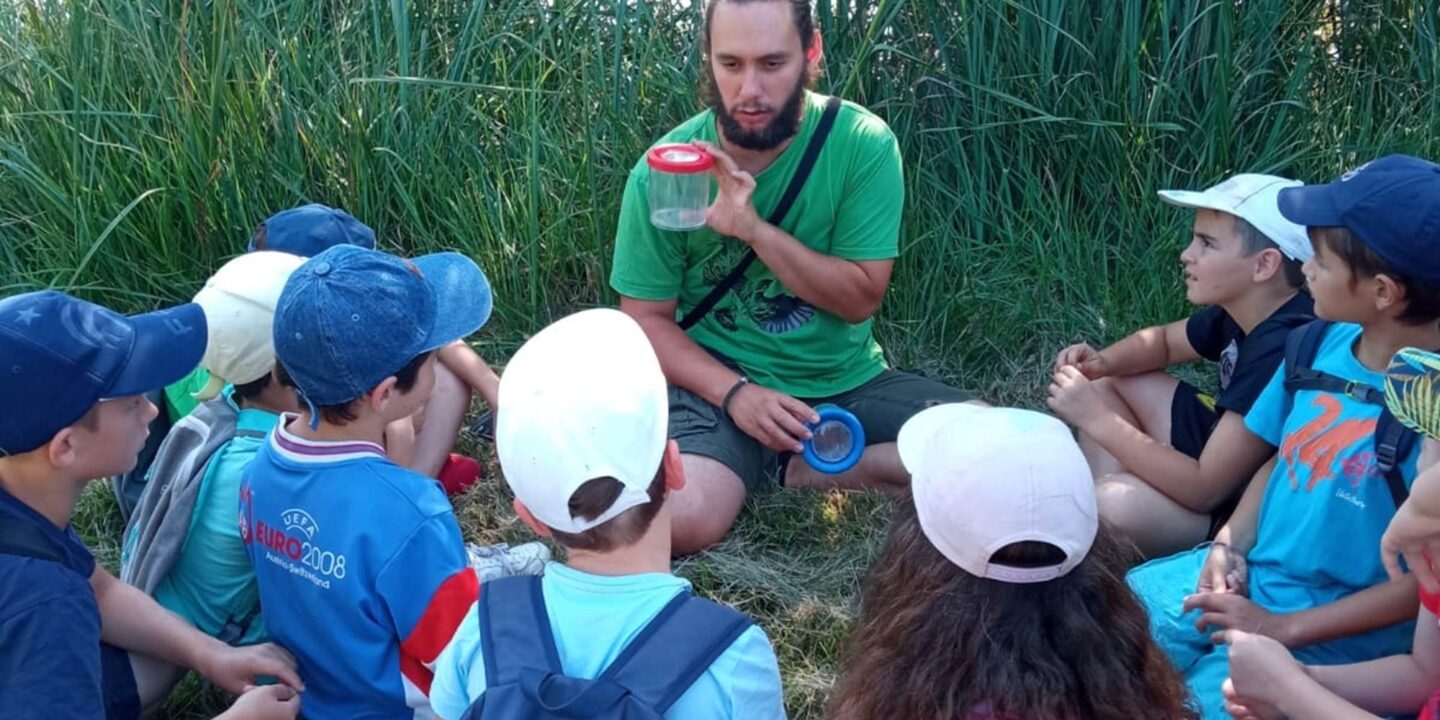 Atelier des Tourbières Les petites bêtes Tourbières de Vendoire Vendoire