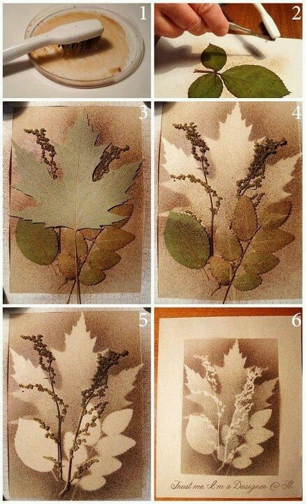 Atelier du samedi Herbier en empreintes Centre culturel J-P-Fabrègue Saint-Yrieix-la-Perche