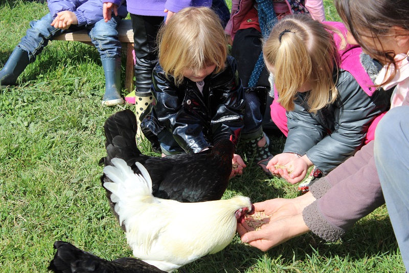 Atelier enfant Mes 1ères bottes Nourrissage des animaux de la ferme  Granville