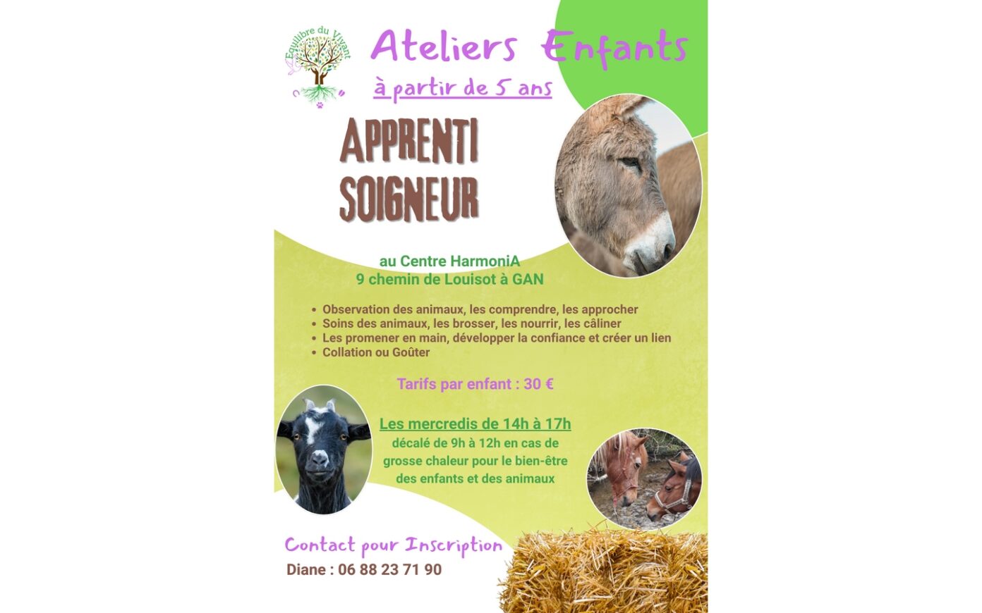 Atelier enfants apprentis soigneurs Centre HarmoniA Gan