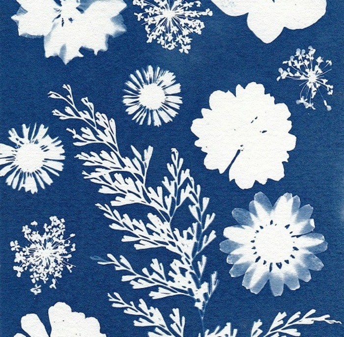Atelier jeune public : « Cyanotype », Jardins de la Fontaine, Nîmes