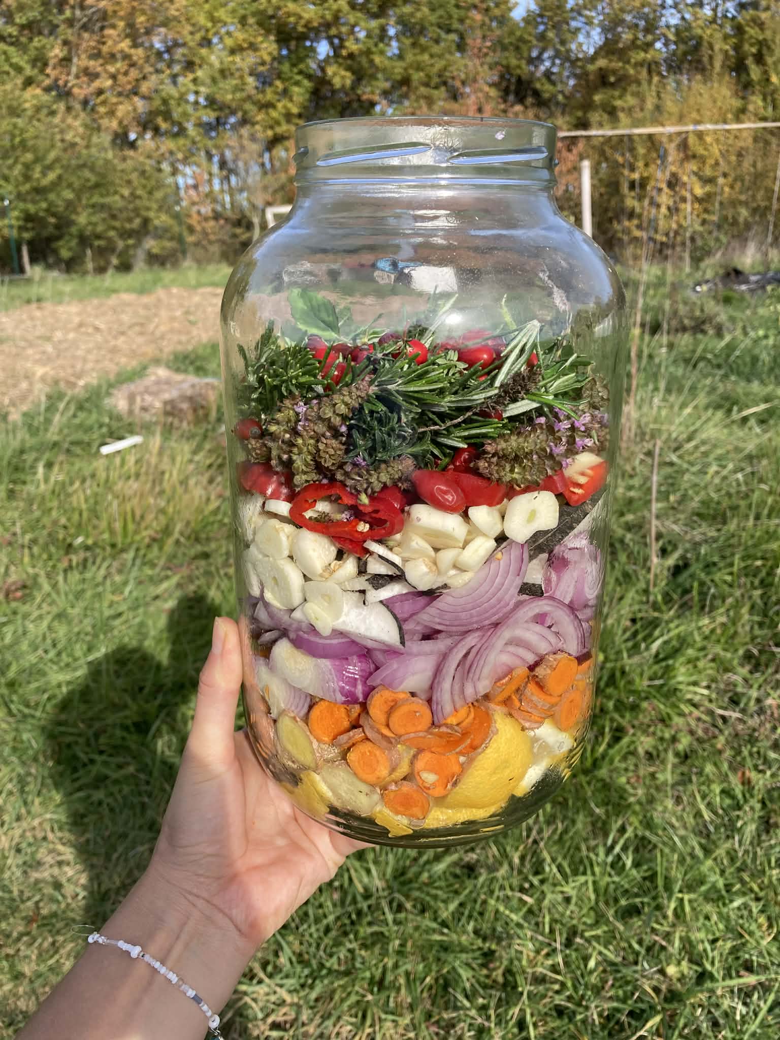 ATELIER KOMBUCHA