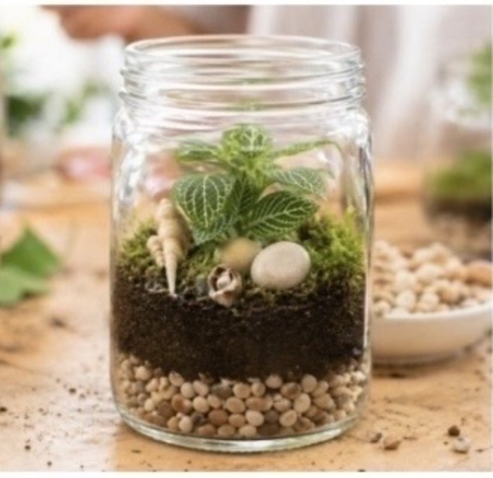 Atelier « mon mini-jardin en terrarium » avec La Maison du Paysan, Ecomusée de Marie-Galante, Grand-Bourg