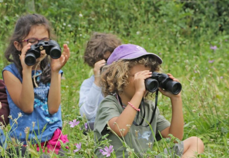 Atelier-nature (3-5 ans) à la découverte de oiseaux Omonville-la-Rogue La Hague