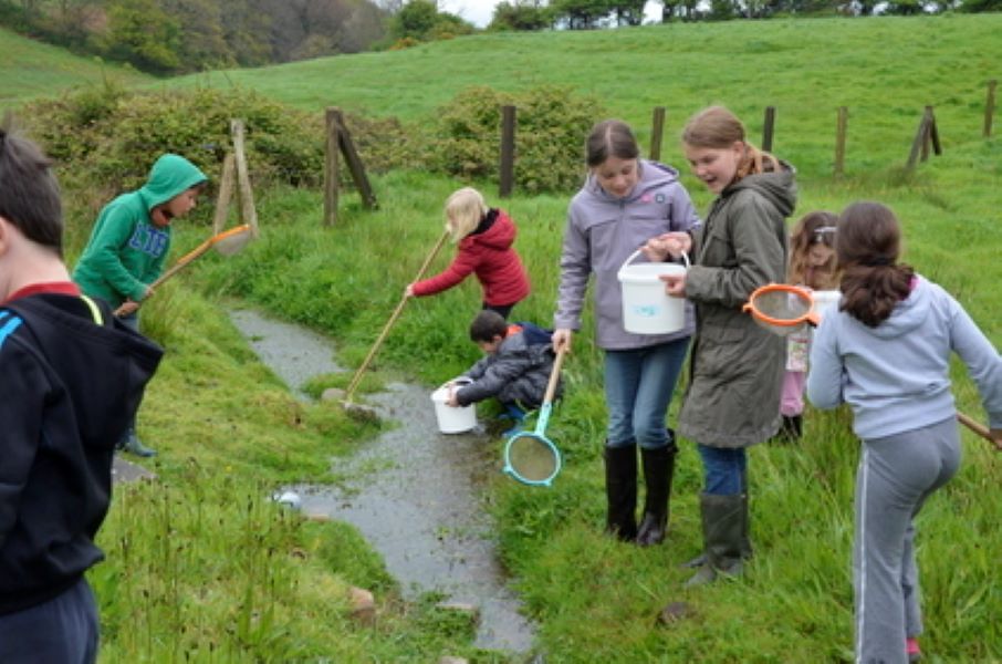Atelier-nature (6-12 ans) le monde fascinant des insectes Omonville-la-Rogue La Hague