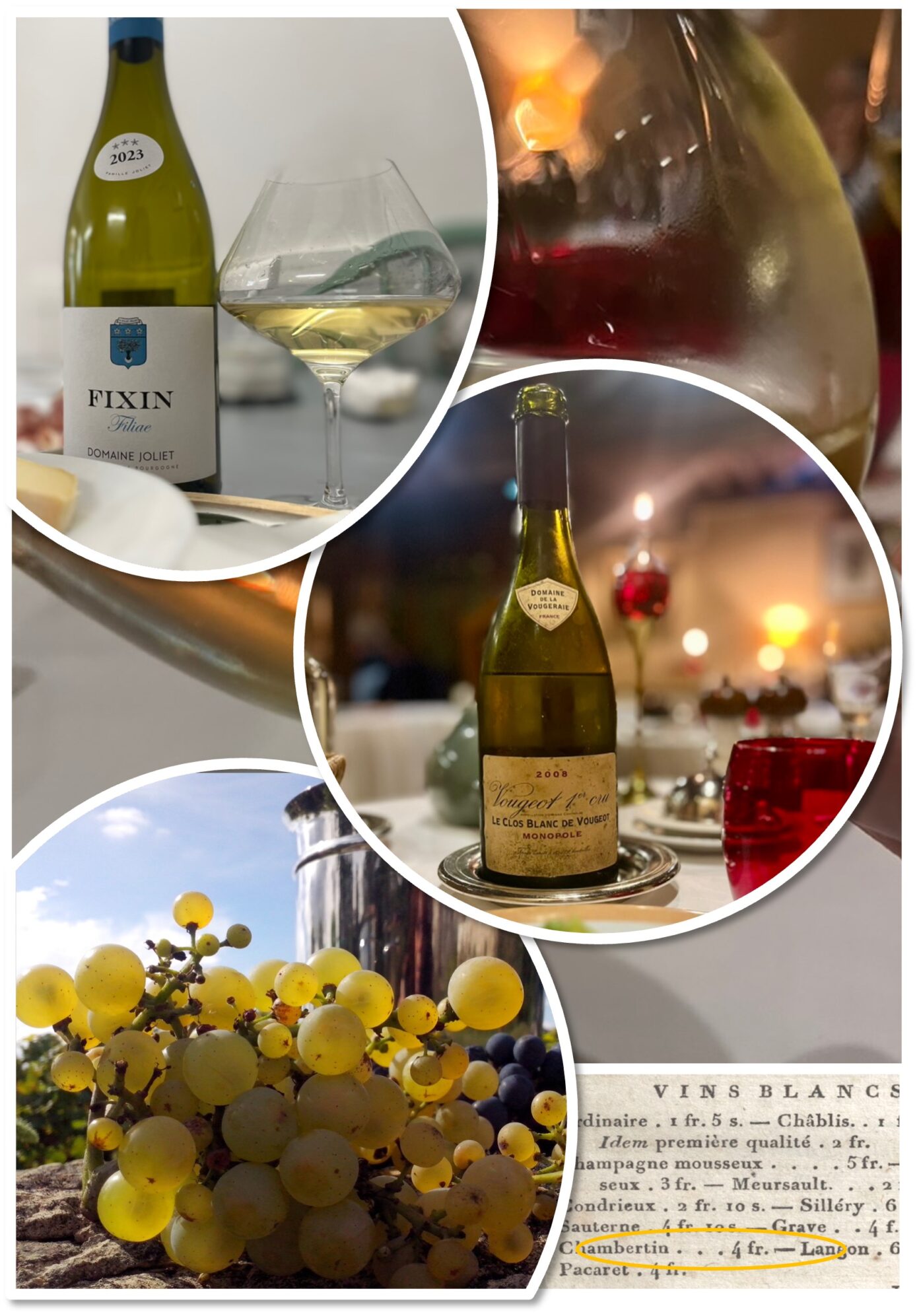 Atelier oenohistorique Les vins blancs ! Une exception en Côte de Nuits  Gilly-lès-Cîteaux