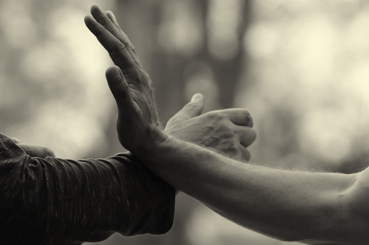 ATELIER QI GONG Les vignes Massegros Causses Gorges 2026-07-15