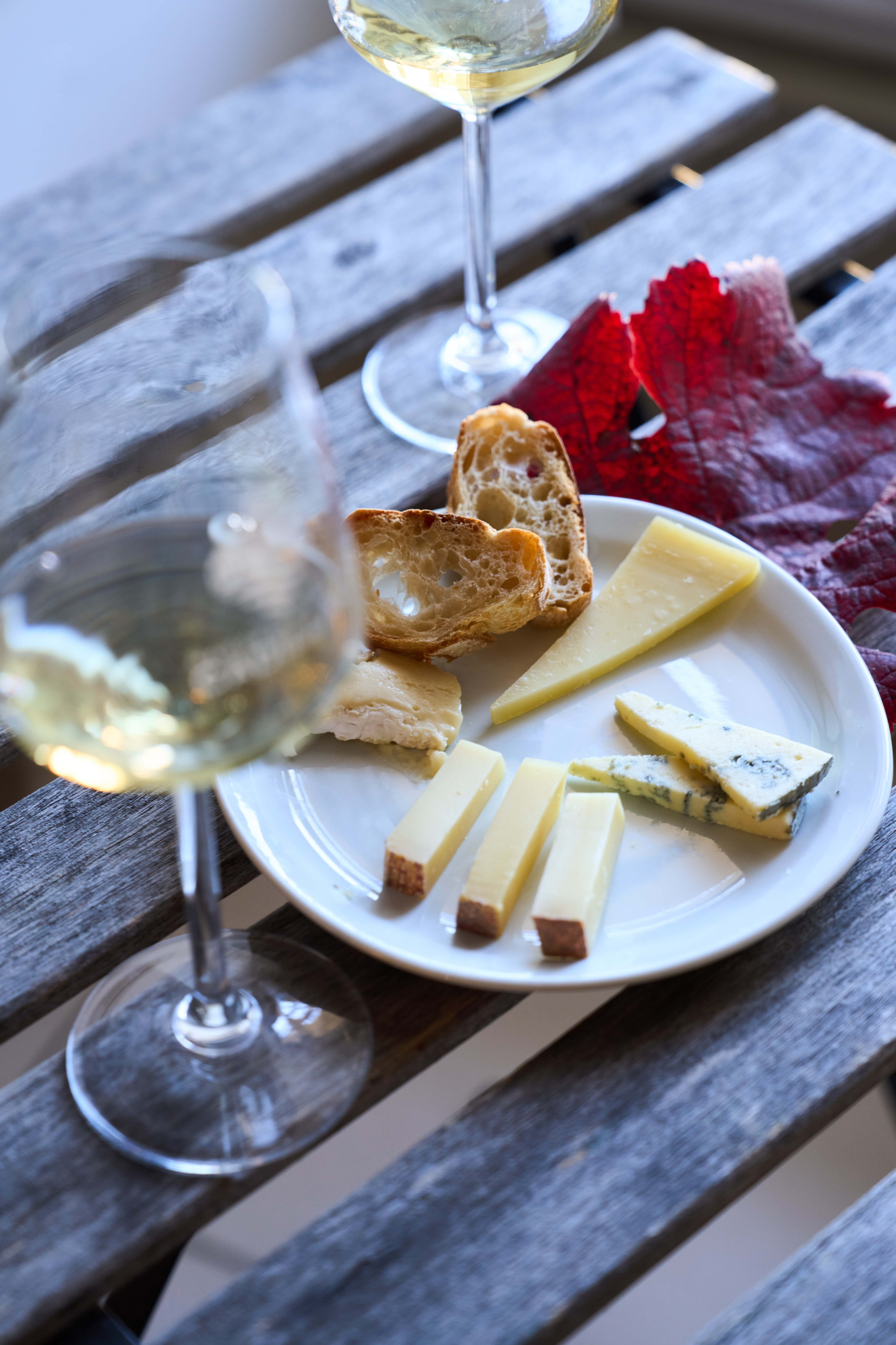 Atelier Vins et Fromage à la Maison des Vins de Cadillac D10 route de Langon Cadillac-sur-Garonne 2026-10-16