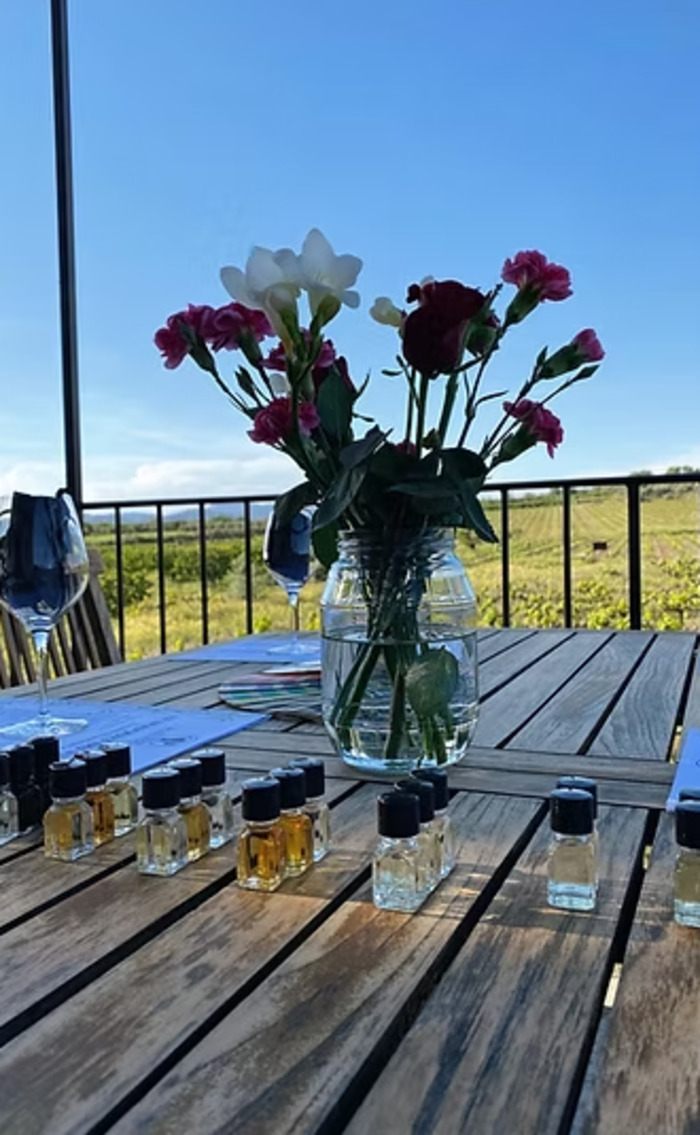 Ateliers oenosensoriels, Domaine Plein Pagnier, Mazan