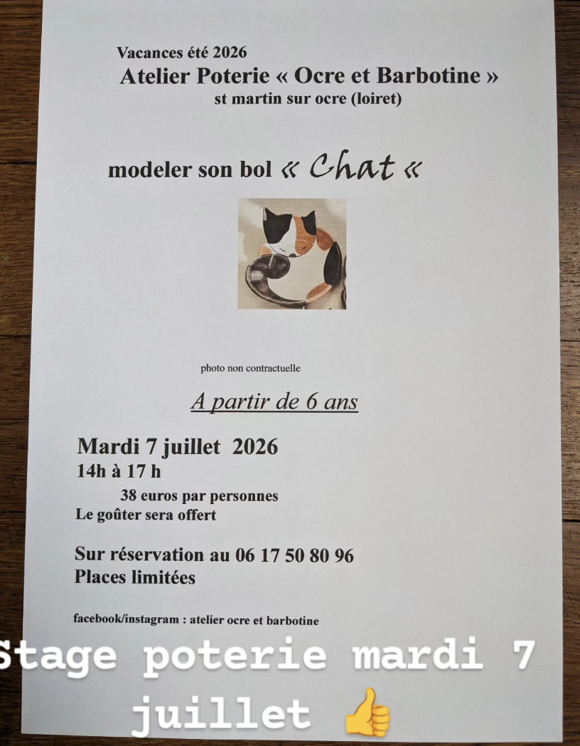 Atellier Poterie Modeler son bol Chat  Saint-Martin-sur-Ocre