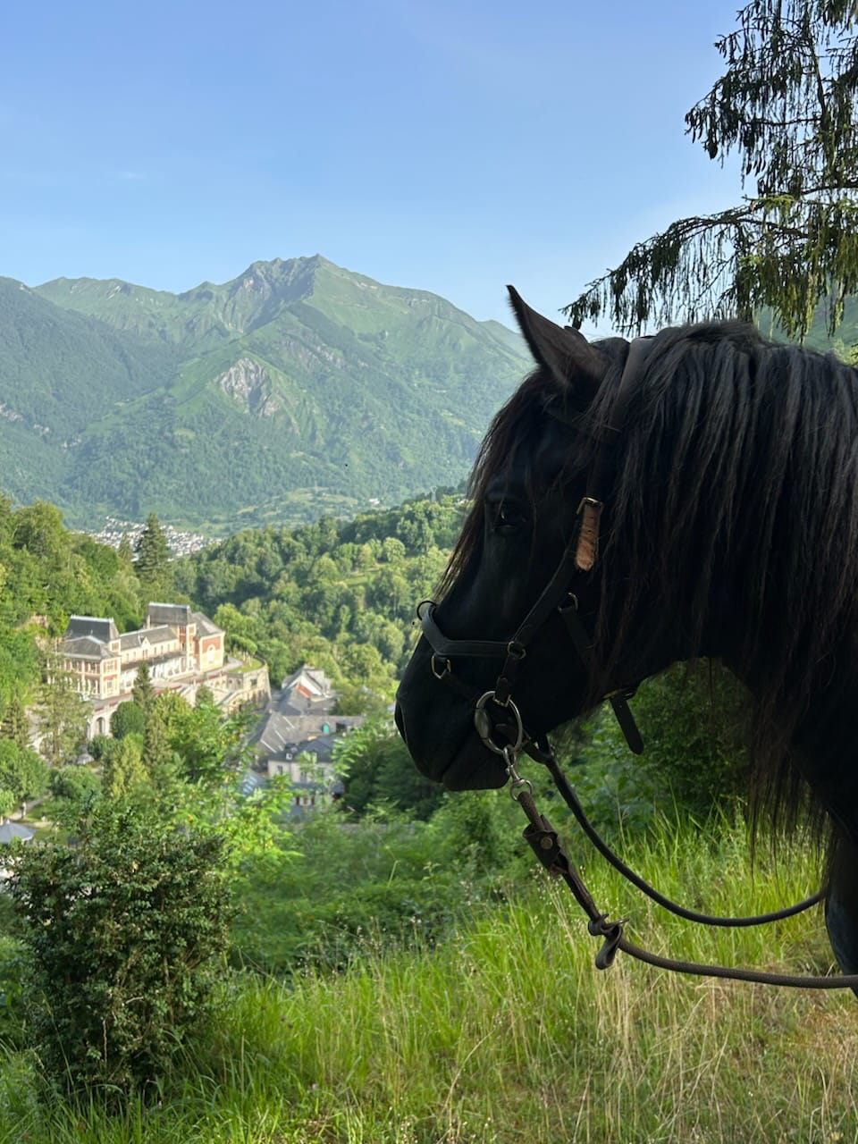 Balade à cheval dans le jardin  Eaux-Bonnes