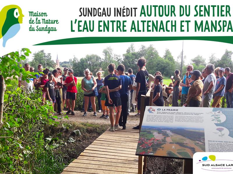 Balade autour du sentier de l’eau Altenach