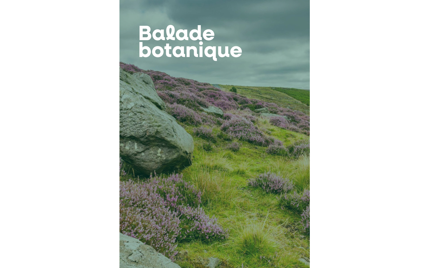 Balade botanique Larrau