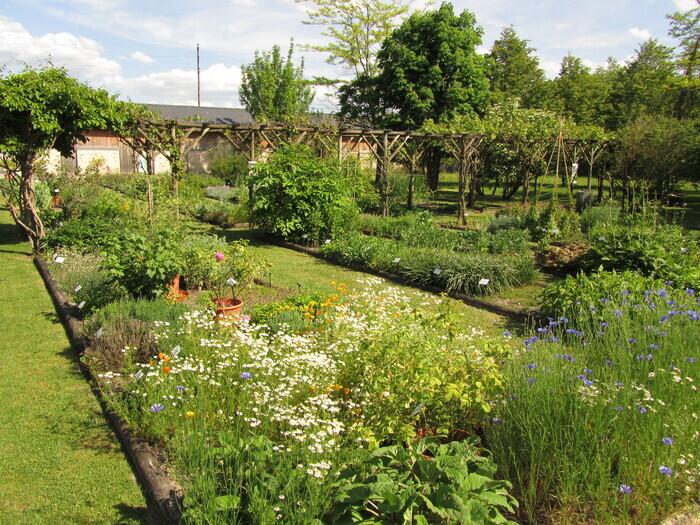 Balade contée, Conservatoire des plantes à parfum, aromatiques, médicinales et industrielles, Milly-la-Forêt