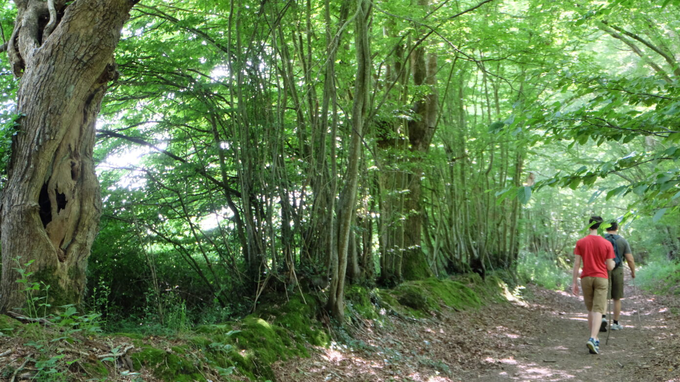 Balade contée crépusculaire au Temple Le Temple