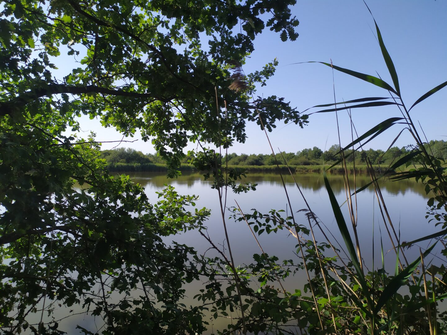 Balade dans la réserve de Chérine Saint-Benoît-du-Sault
