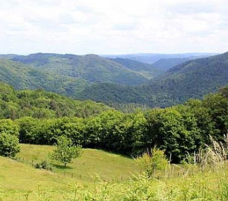 Balade-découverte à Albussac: Nature et paysages du site de Roche de Vic Albussac