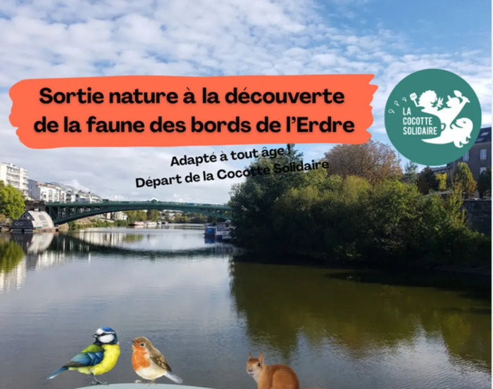 Balade découverte de la faune & flore avec la maison de l’Erdre ! Ile de Versailles Nantes